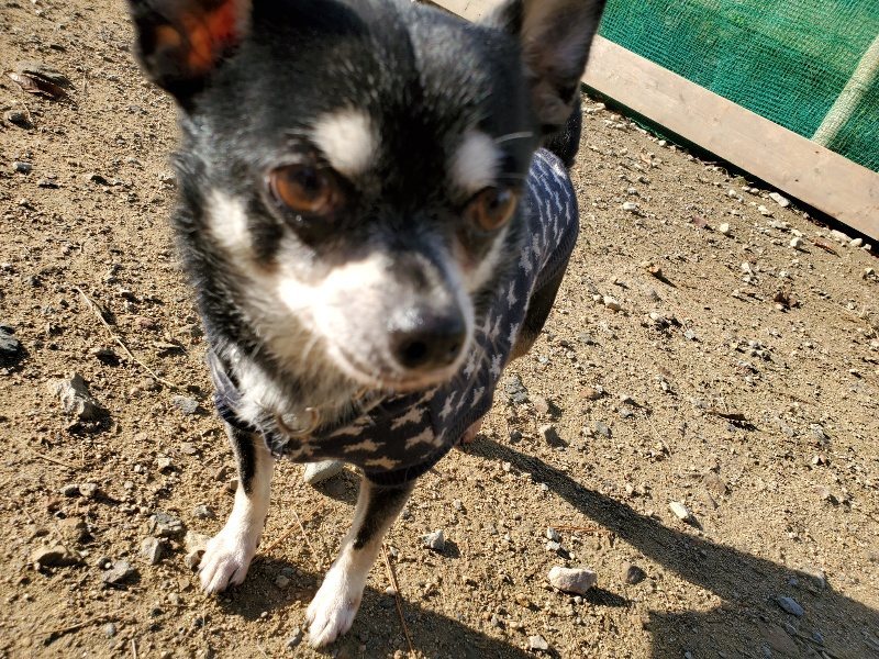 f:id:roukenhome-ann:20191120174932j:plain