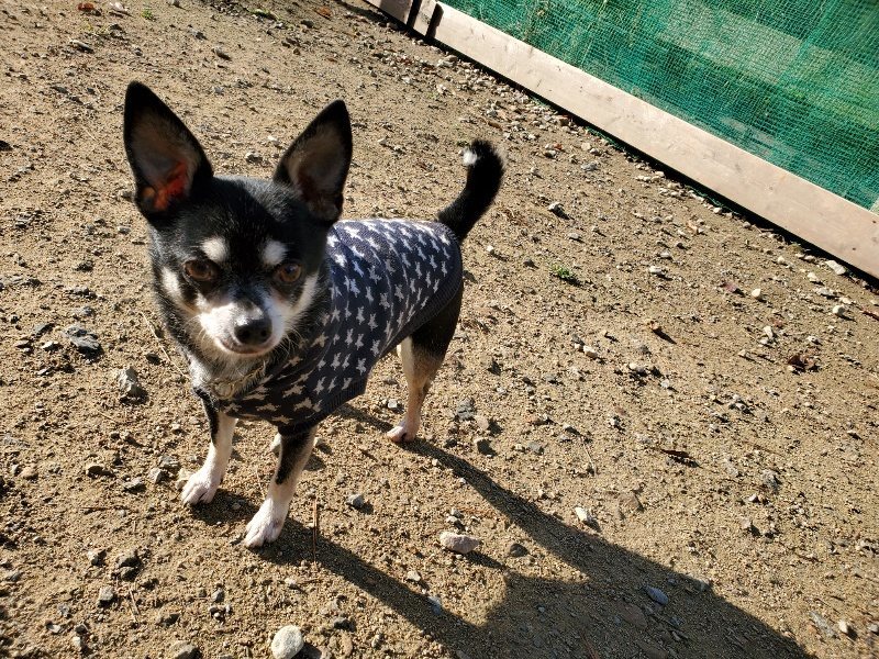 f:id:roukenhome-ann:20191120174940j:plain