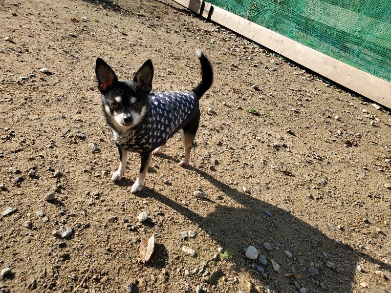 f:id:roukenhome-ann:20191120175005j:plain