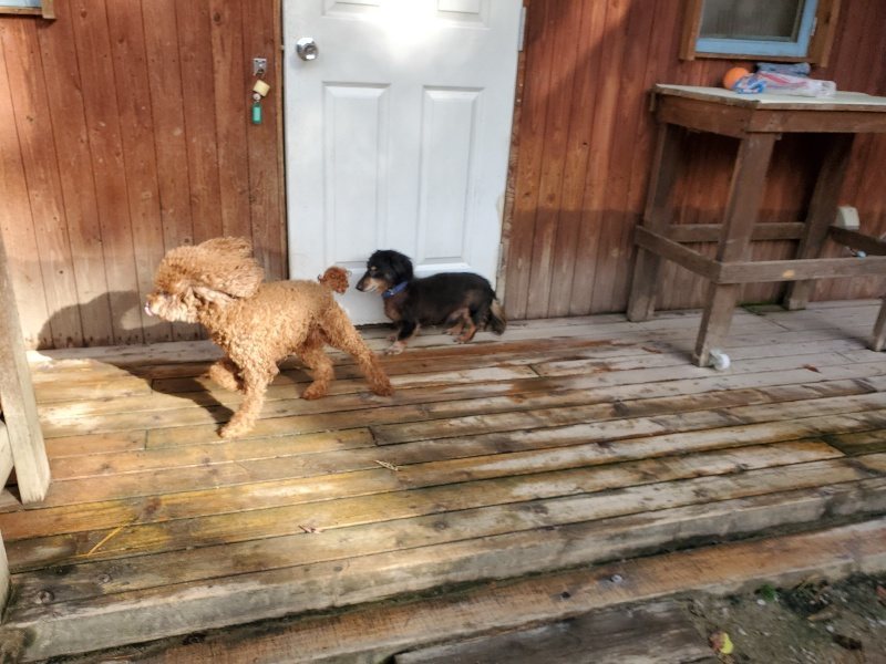 f:id:roukenhome-ann:20191120175024j:plain