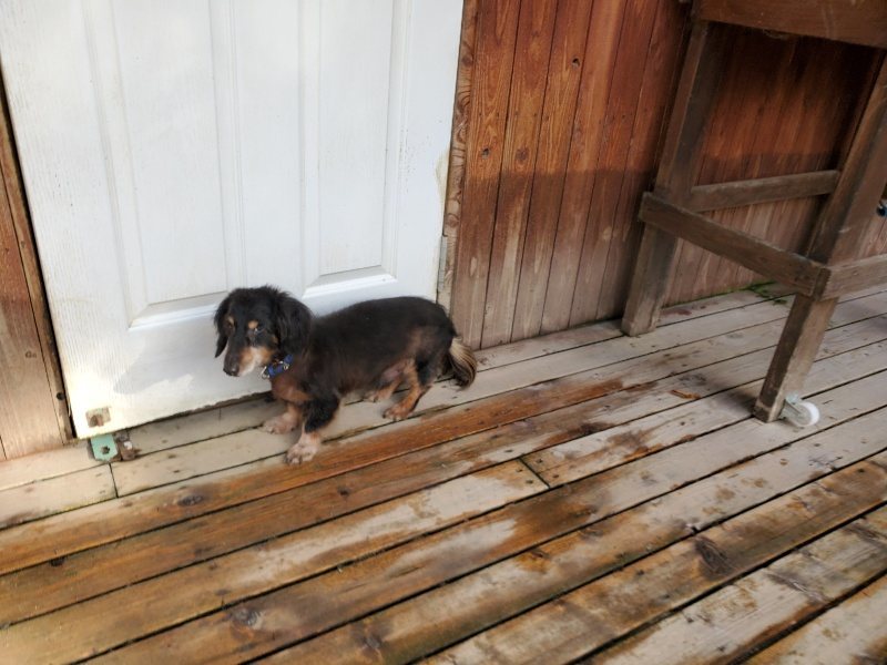 f:id:roukenhome-ann:20191120175031j:plain