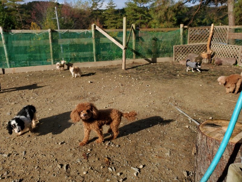 f:id:roukenhome-ann:20191120175049j:plain