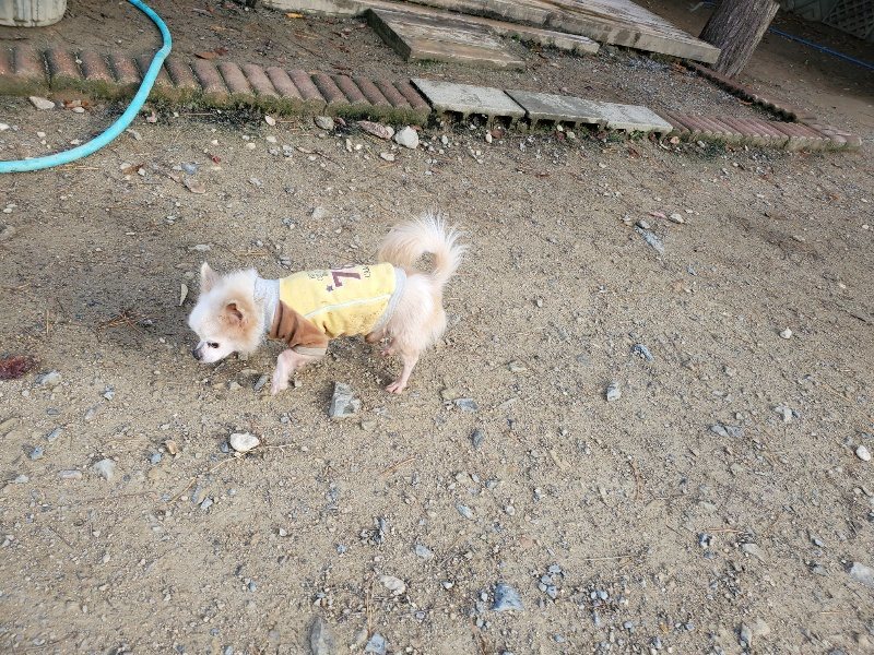 f:id:roukenhome-ann:20191120175107j:plain