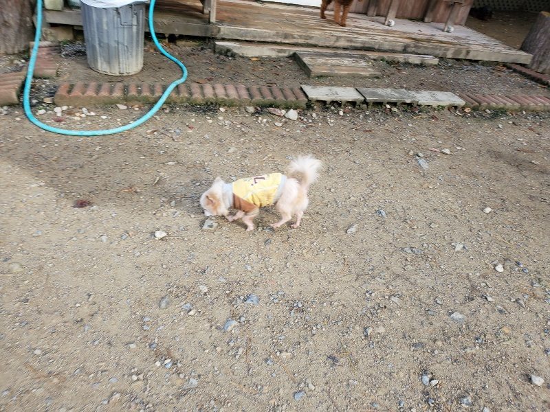 f:id:roukenhome-ann:20191120175150j:plain