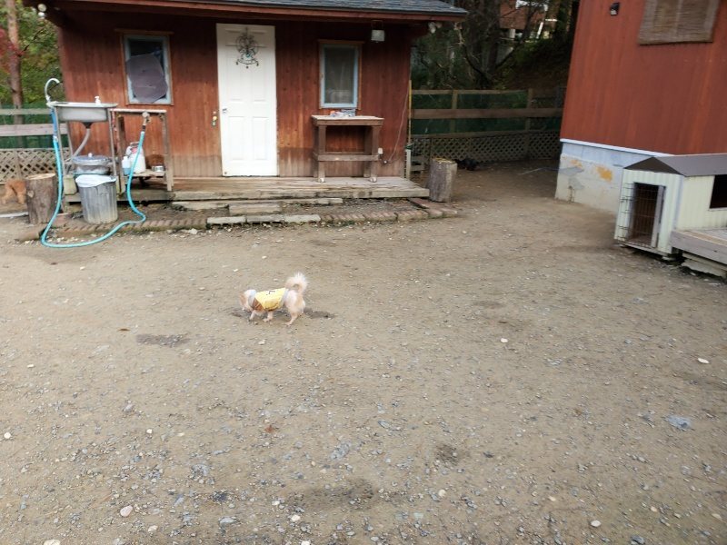 f:id:roukenhome-ann:20191120175157j:plain