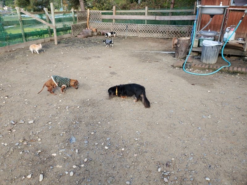 f:id:roukenhome-ann:20191120175205j:plain