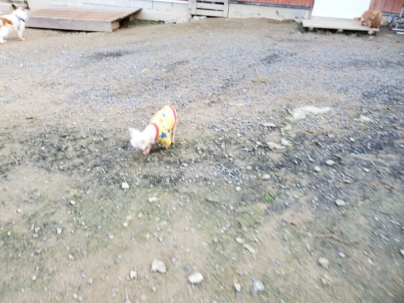 f:id:roukenhome-ann:20191120175222j:plain
