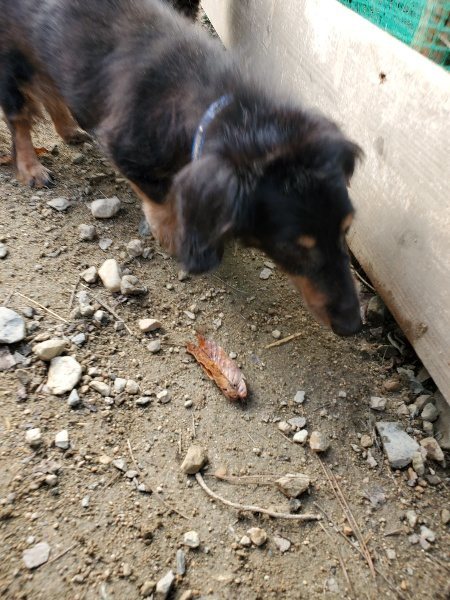 f:id:roukenhome-ann:20191120180048j:plain