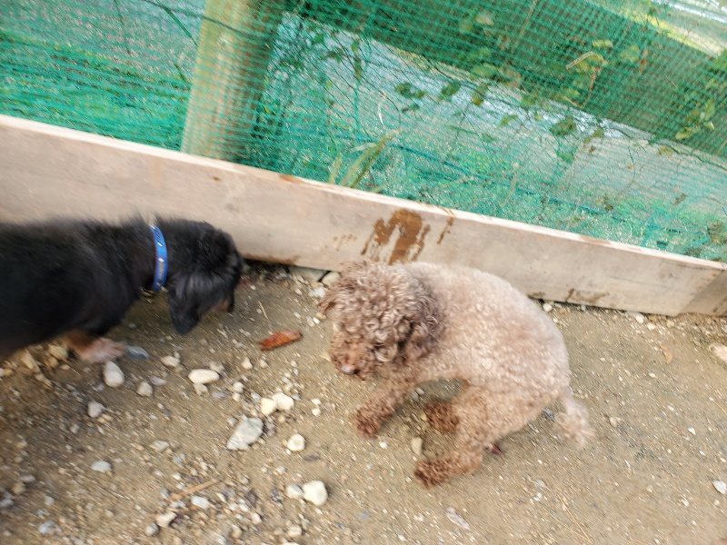 f:id:roukenhome-ann:20191120180100j:plain