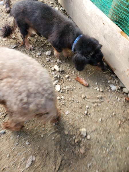 f:id:roukenhome-ann:20191120180106j:plain