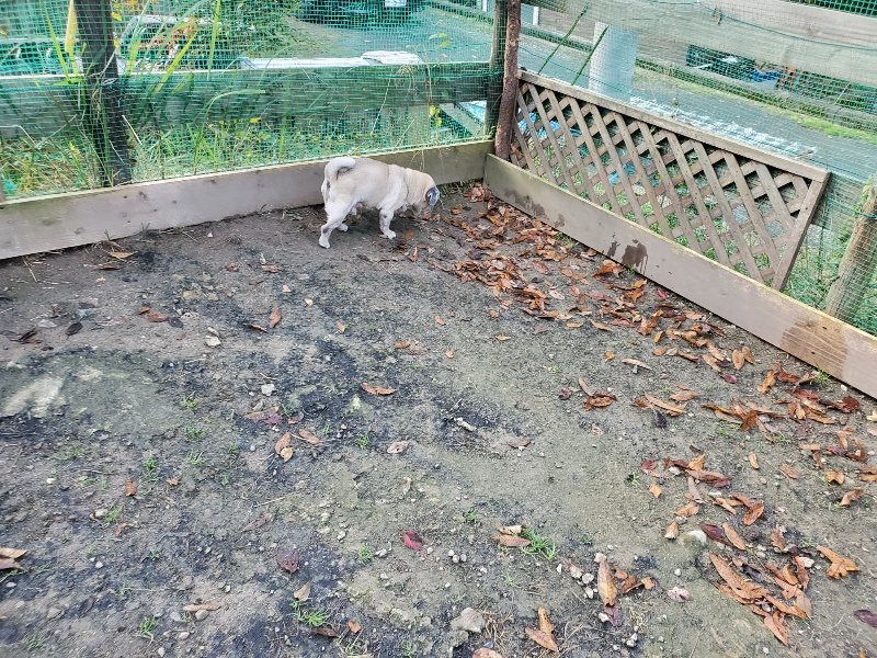 f:id:roukenhome-ann:20191120180114j:plain