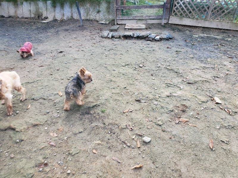 f:id:roukenhome-ann:20191120180121j:plain