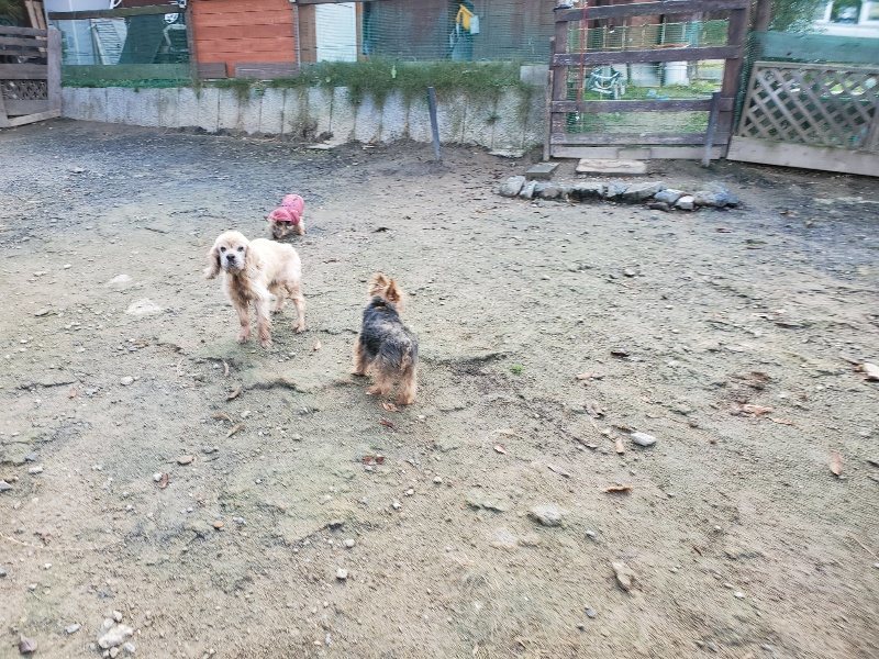 f:id:roukenhome-ann:20191120180133j:plain