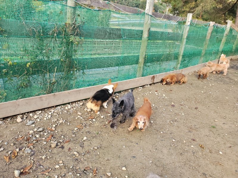 f:id:roukenhome-ann:20191120180150j:plain