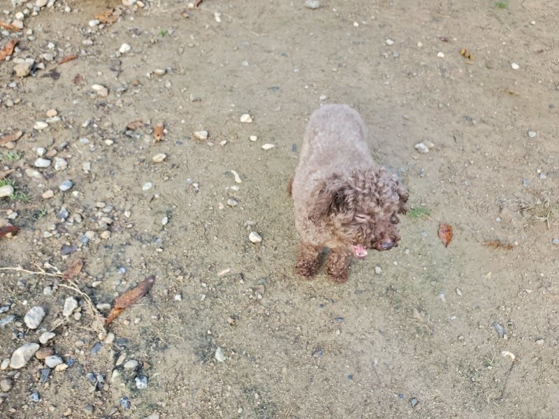 f:id:roukenhome-ann:20191120180156j:plain