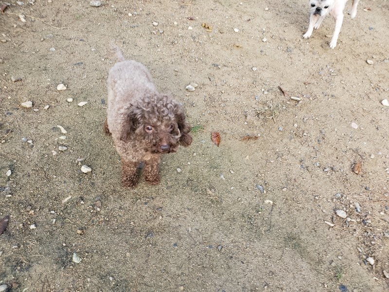 f:id:roukenhome-ann:20191120180201j:plain