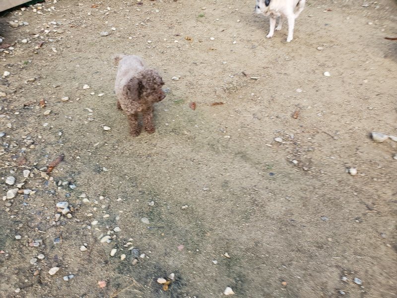 f:id:roukenhome-ann:20191120180219j:plain