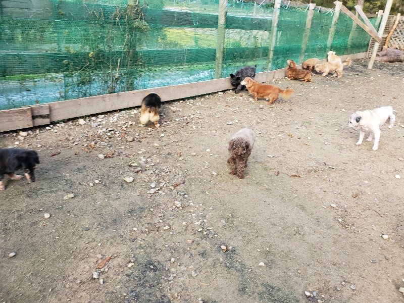f:id:roukenhome-ann:20191120180225j:plain