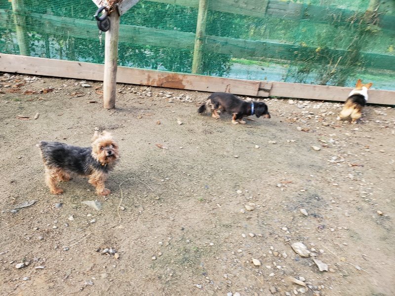 f:id:roukenhome-ann:20191120180233j:plain