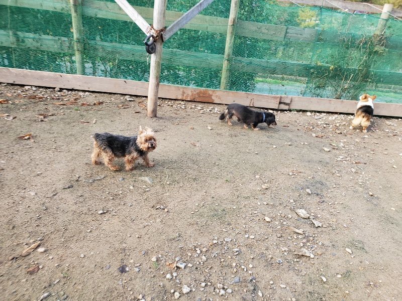 f:id:roukenhome-ann:20191120180241j:plain