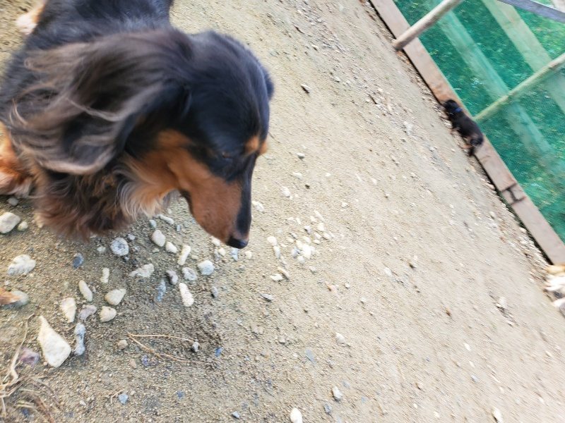 f:id:roukenhome-ann:20191120180249j:plain