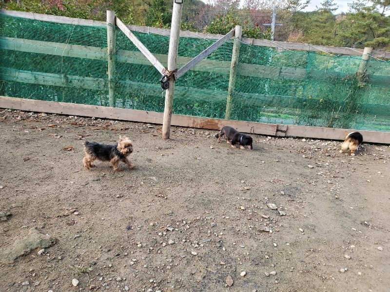f:id:roukenhome-ann:20191120180257j:plain