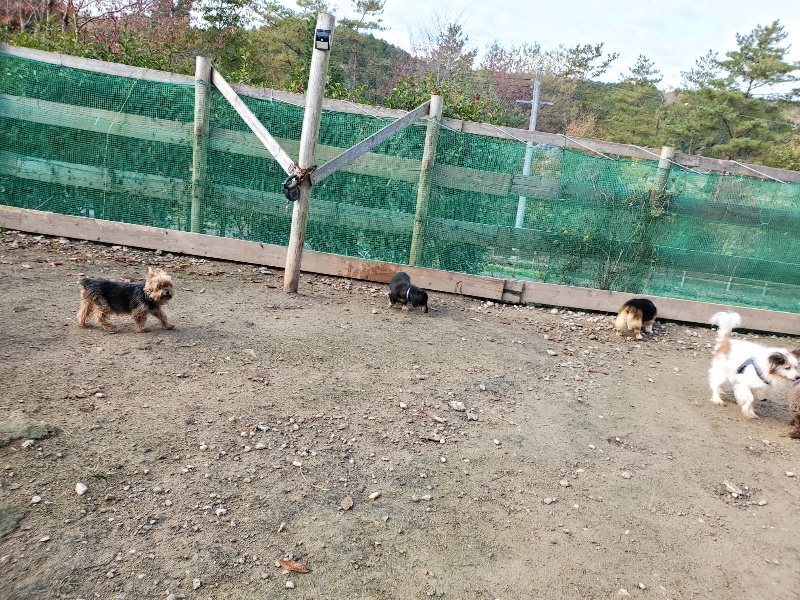 f:id:roukenhome-ann:20191120180303j:plain