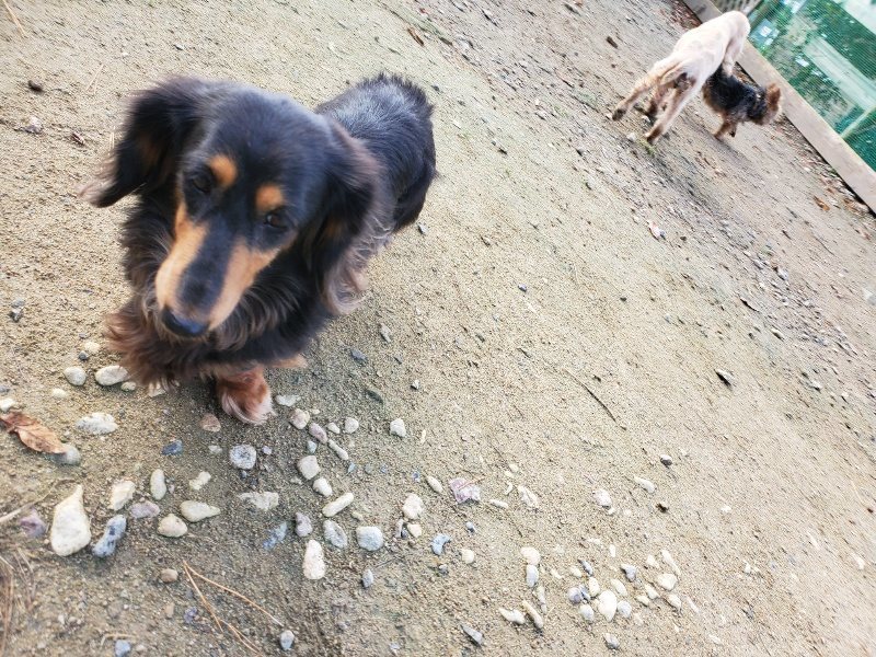 f:id:roukenhome-ann:20191120180312j:plain