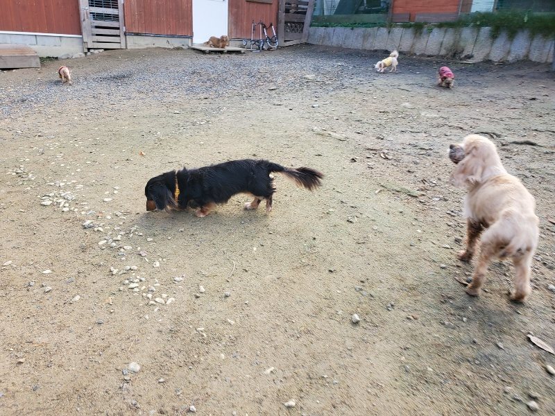 f:id:roukenhome-ann:20191120180329j:plain