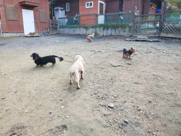 f:id:roukenhome-ann:20191120180351j:plain