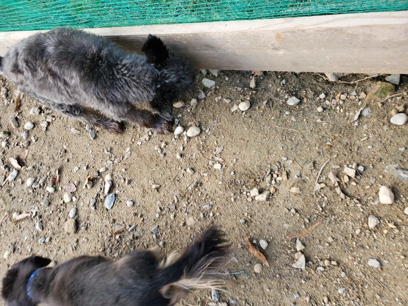 f:id:roukenhome-ann:20191120180411j:plain