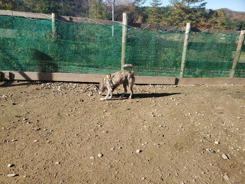 f:id:roukenhome-ann:20191129153621j:plain f:id:roukenhome-ann:20191129153621j:plain