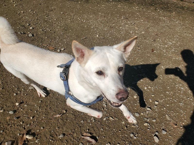 f:id:roukenhome-ann:20191129153629j:plain f:id:roukenhome-ann:20191129153629j:plain