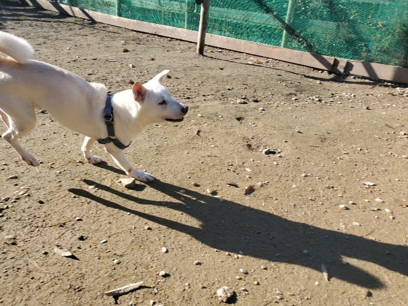 f:id:roukenhome-ann:20191129153639j:plain f:id:roukenhome-ann:20191129153639j:plain