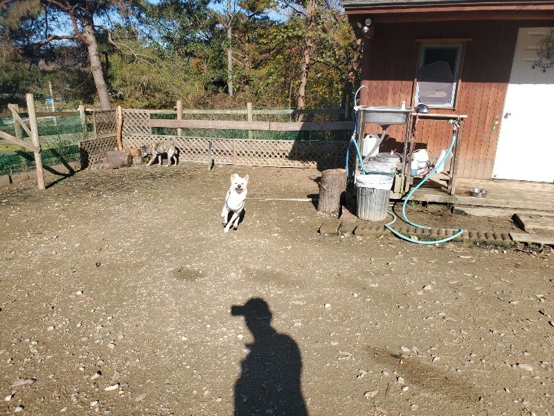 f:id:roukenhome-ann:20191129153646j:plain f:id:roukenhome-ann:20191129153646j:plain