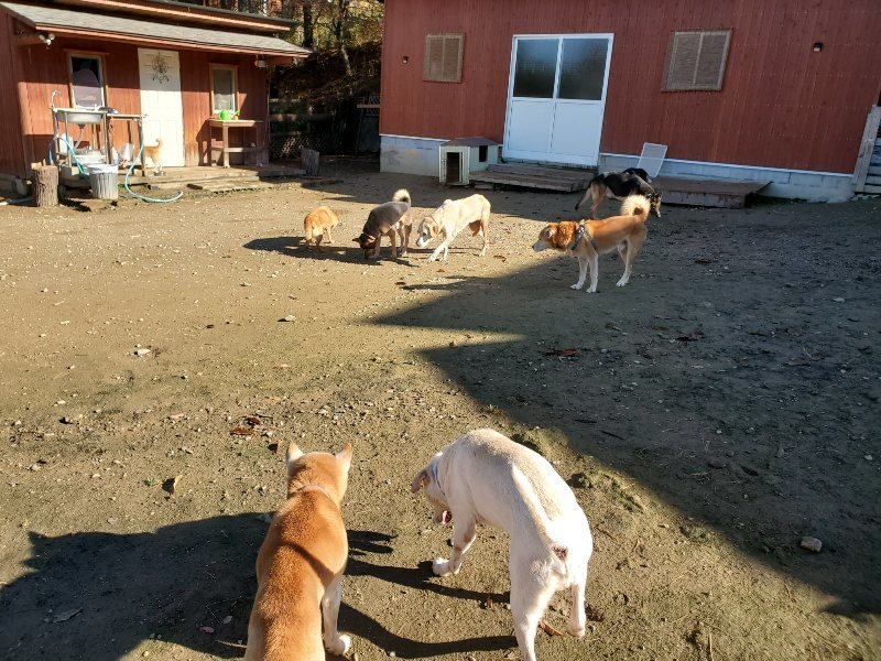 f:id:roukenhome-ann:20191129153733j:plain f:id:roukenhome-ann:20191129153733j:plain