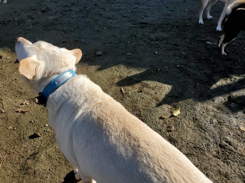 f:id:roukenhome-ann:20191129153741j:plain f:id:roukenhome-ann:20191129153741j:plain