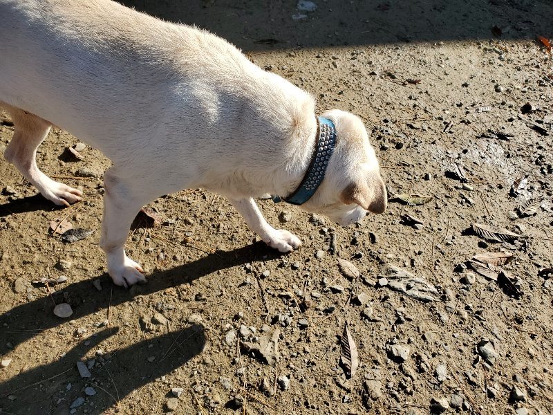 f:id:roukenhome-ann:20191129182958j:plain f:id:roukenhome-ann:20191129182958j:plain