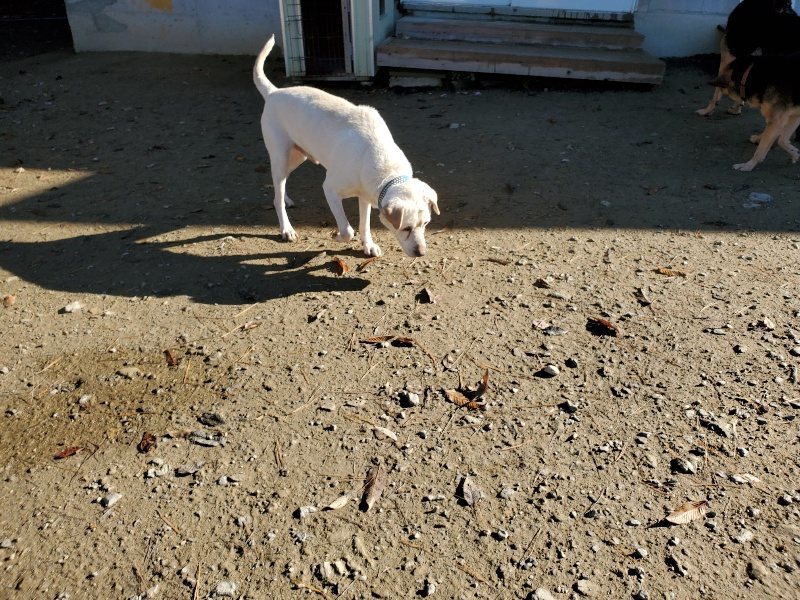 f:id:roukenhome-ann:20191129183010j:plain f:id:roukenhome-ann:20191129183010j:plain