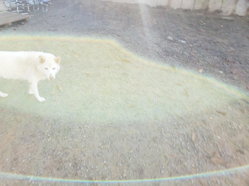 f:id:roukenhome-ann:20191129183035j:plain f:id:roukenhome-ann:20191129183035j:plain