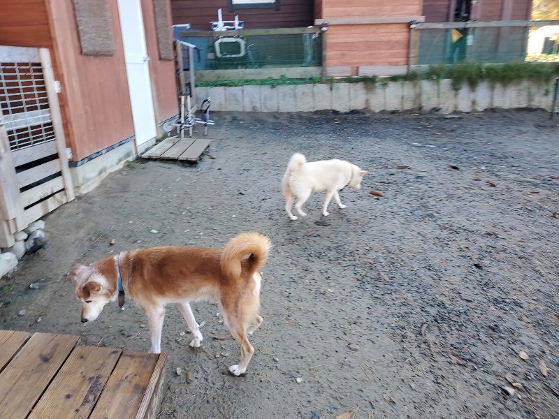 f:id:roukenhome-ann:20191129183113j:plain f:id:roukenhome-ann:20191129183113j:plain