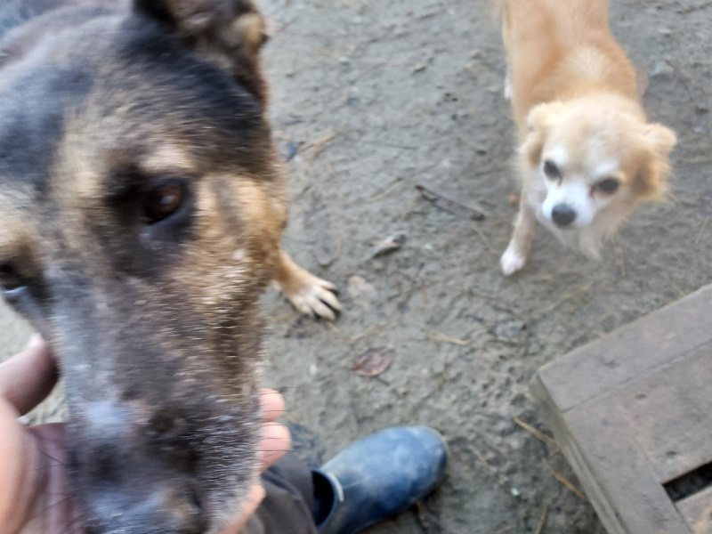 f:id:roukenhome-ann:20191129183147j:plain f:id:roukenhome-ann:20191129183147j:plain