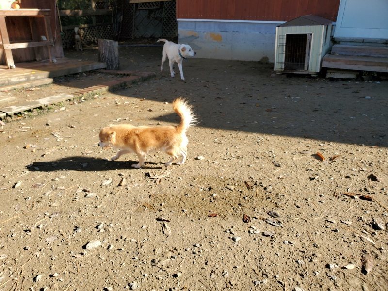 f:id:roukenhome-ann:20191129183613j:plain f:id:roukenhome-ann:20191129183613j:plain