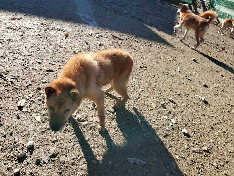 f:id:roukenhome-ann:20191129183622j:plain f:id:roukenhome-ann:20191129183622j:plain