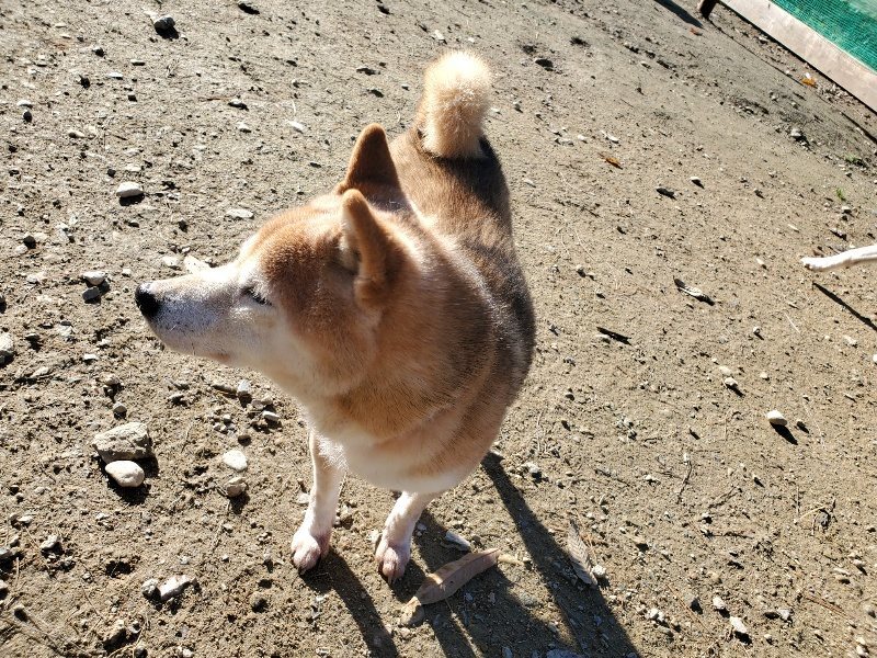 f:id:roukenhome-ann:20191129183738j:plain f:id:roukenhome-ann:20191129183738j:plain