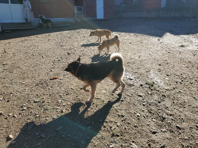f:id:roukenhome-ann:20191129183908j:plain f:id:roukenhome-ann:20191129183908j:plain