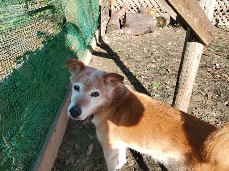f:id:roukenhome-ann:20191129183916j:plain f:id:roukenhome-ann:20191129183916j:plain