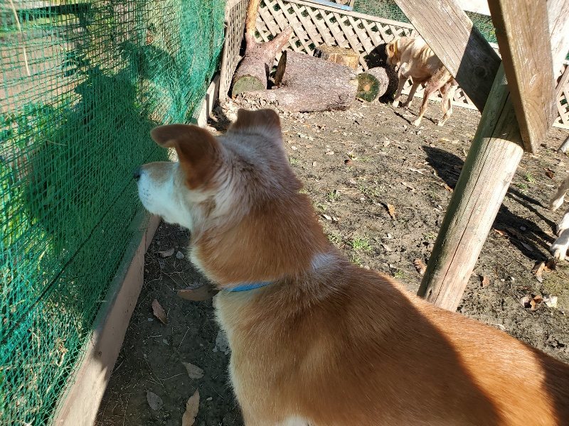 f:id:roukenhome-ann:20191129183946j:plain f:id:roukenhome-ann:20191129183946j:plain