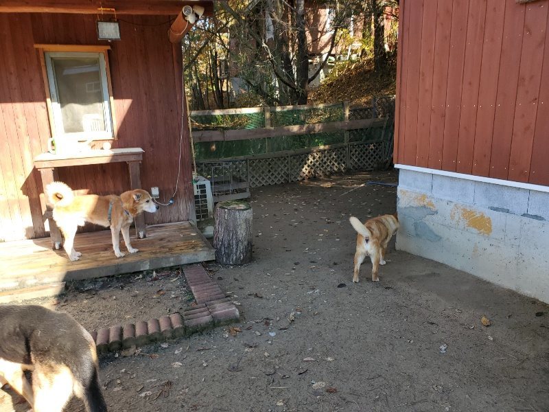 f:id:roukenhome-ann:20191129184247j:plain f:id:roukenhome-ann:20191129184247j:plain