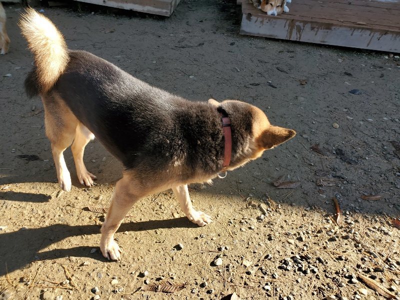 f:id:roukenhome-ann:20191129184302j:plain f:id:roukenhome-ann:20191129184302j:plain